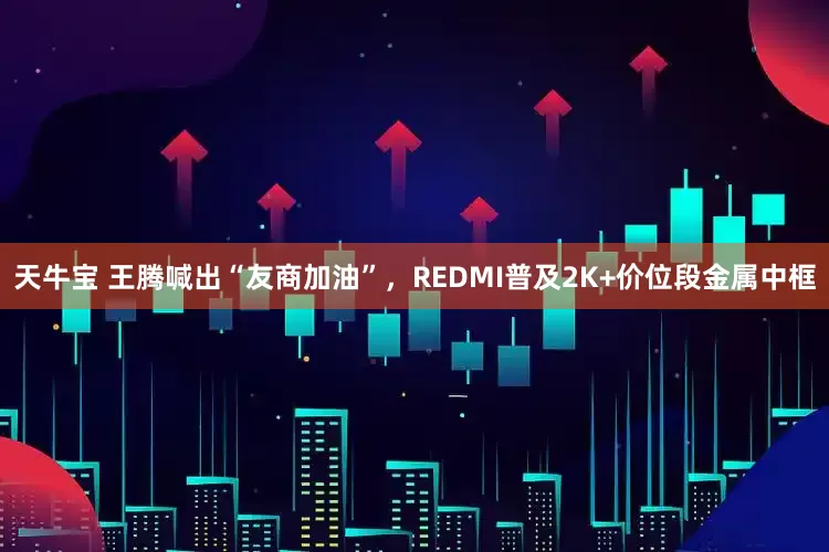 天牛宝 王腾喊出“友商加油”，REDMI普及2K+价位段金属中框