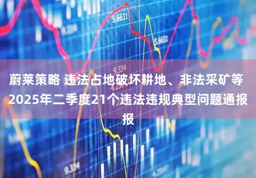 蔚莱策略 违法占地破坏耕地、非法采矿等 2025年二季度21个违法违规典型问题通报
