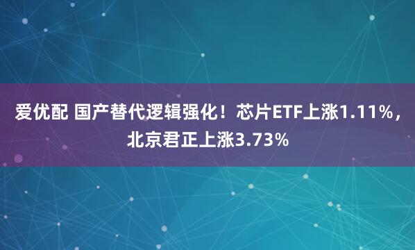 爱优配 国产替代逻辑强化！芯片ETF上涨1.11%，北京君正上涨3.73%